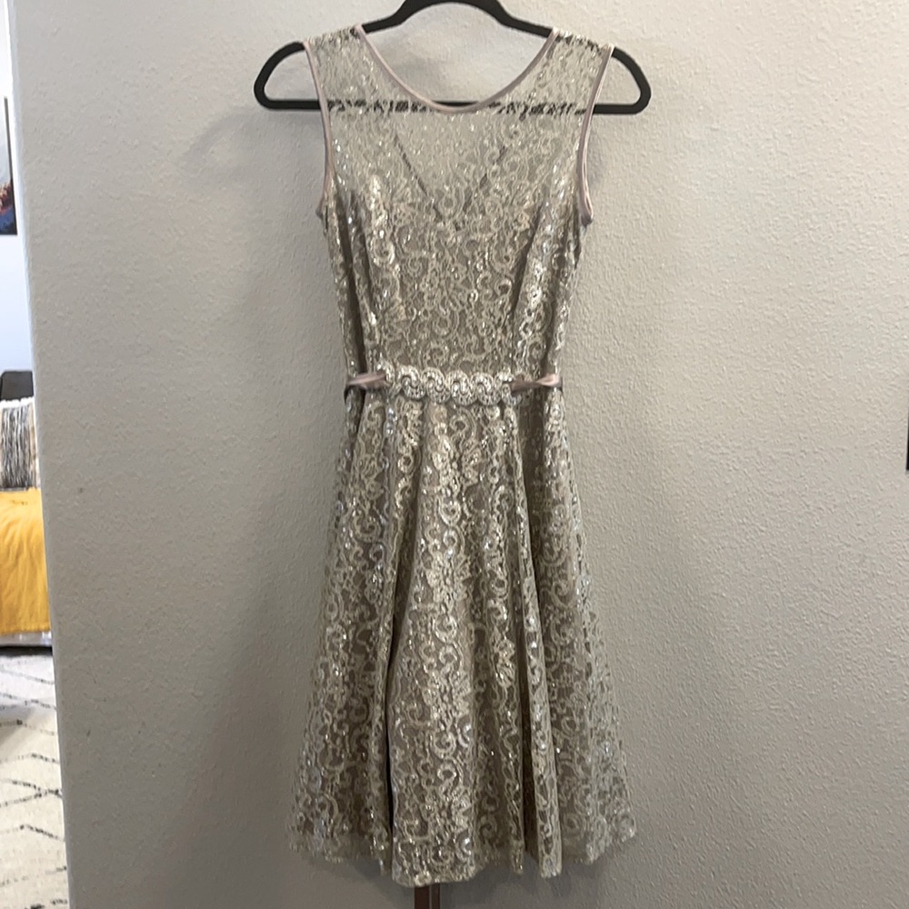 Silver Lace Cache Dress